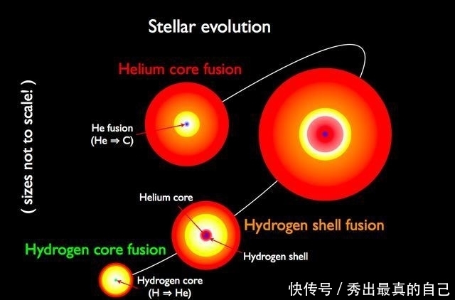 红巨星 蓝色超巨星为何会改变亮度，星震如何揭示巨星的脉搏？