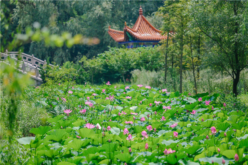 山海天旅游度假区：满足你对大海的全部想象|美景山东| 山东