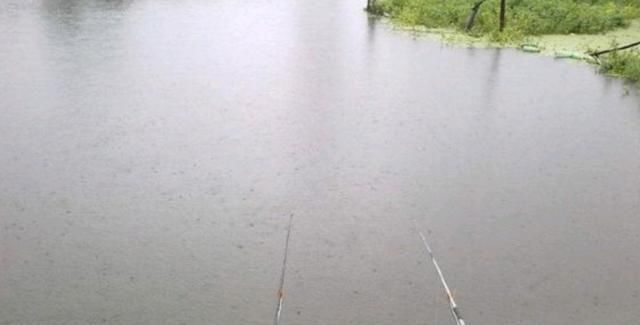 浑水也能钓鱼,老司机漫谈夏季浑水钓鱼技巧