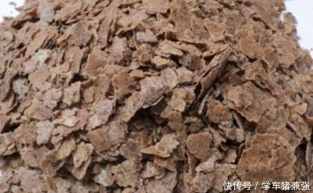 月季花最喜欢这三种肥，这个春夏花开满枝，就看它了！