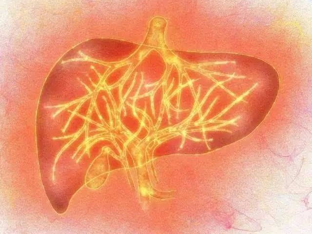 栀子花|一朵美丽的花，竟然是“去火”第一药，可清除五脏之火