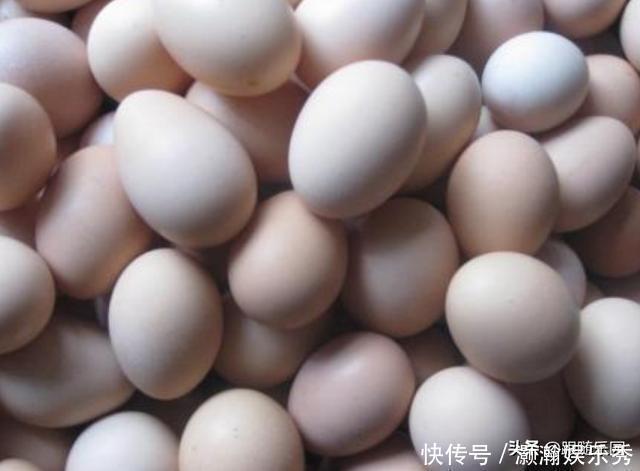 塑料袋|去上海才发现:冰箱里从不放塑料袋,瞧瞧人家怎么弄,真的是人才