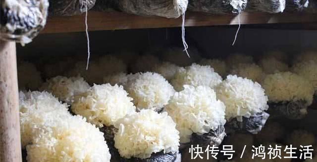 粳米|藏在身边的“天然安眠药”, 睡前吃一点, 让你告别失眠, 睡得香!