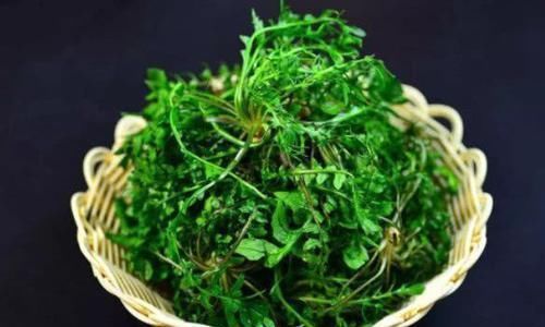每天晚上坚持吃3物,美容养颜、延缓衰老,延年益寿