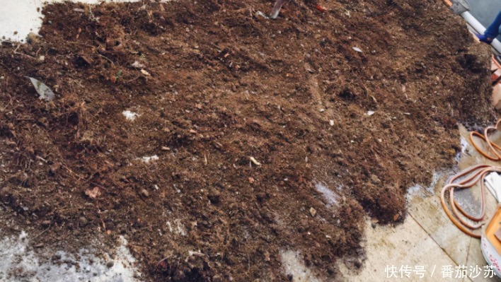 废土|养花旧土该不该扔,能不能“二次利用”?