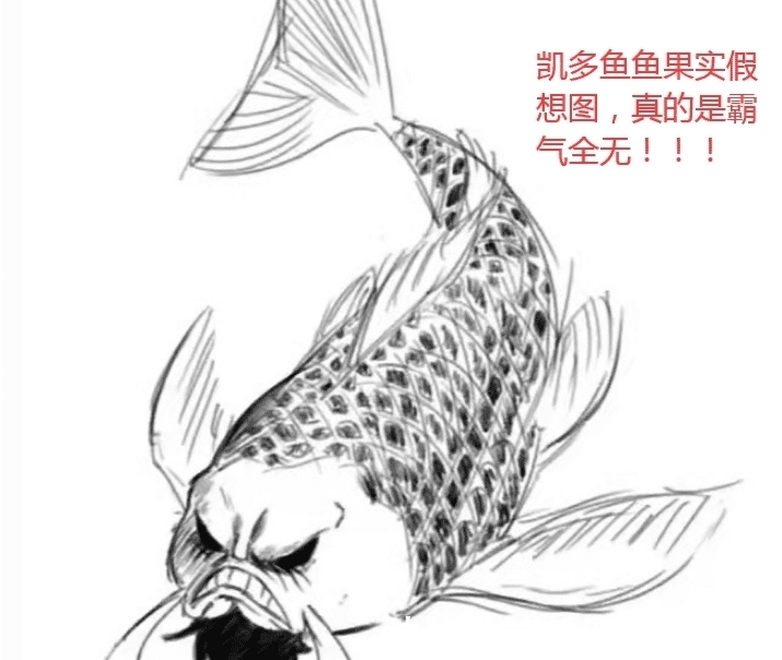 海贼王|海贼王999话:凯多的果实能力很特别,不是龙,却比龙更可怕