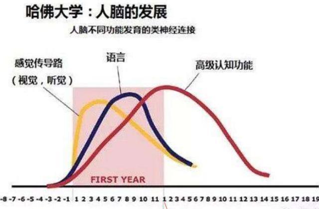 父母|哈佛大学研究:孩子一生中变聪明的时机很短暂,家长千万不能错过
