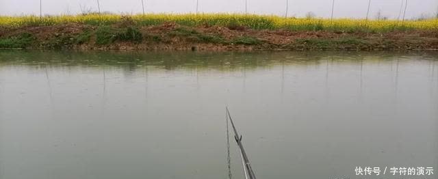 动物蛋白|从春钓到夏钓,钓鱼人须牢记三大调整