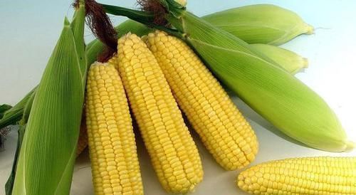 女性不想顯老，常吃3種食物，美容養(yǎng)顏，滋補身體，好處多多