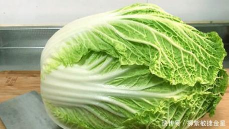 保存白菜的方法|白菜好吃容易坏,教你3个方法,白菜久放不烂不发黑,新鲜好吃