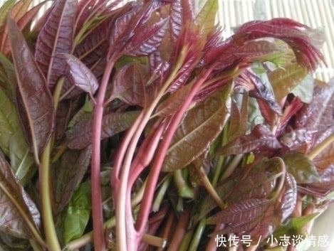 糖尿病人|糖尿病患者尽量不要碰这三种蔬菜, 食用后, 血糖肯定高