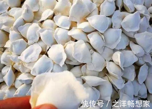 开裂|冻饺子时，直接放冰箱就废了，牢记“2要点”，饺子不粘连不开裂