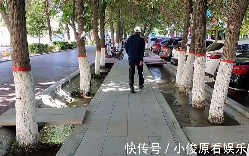 游客|南方游客去新疆旅游，看到树种在水中疑惑不解，当地人一语道破