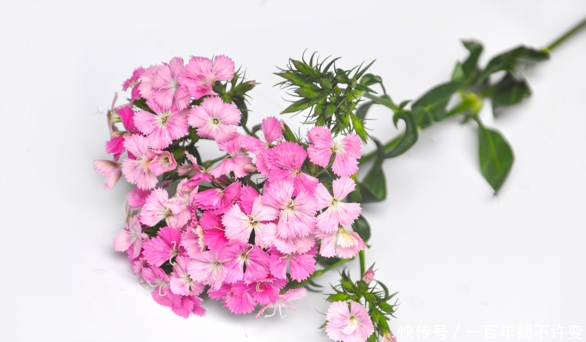 才学$真正厉害的人,从不炫耀,却在这些时候自带光芒