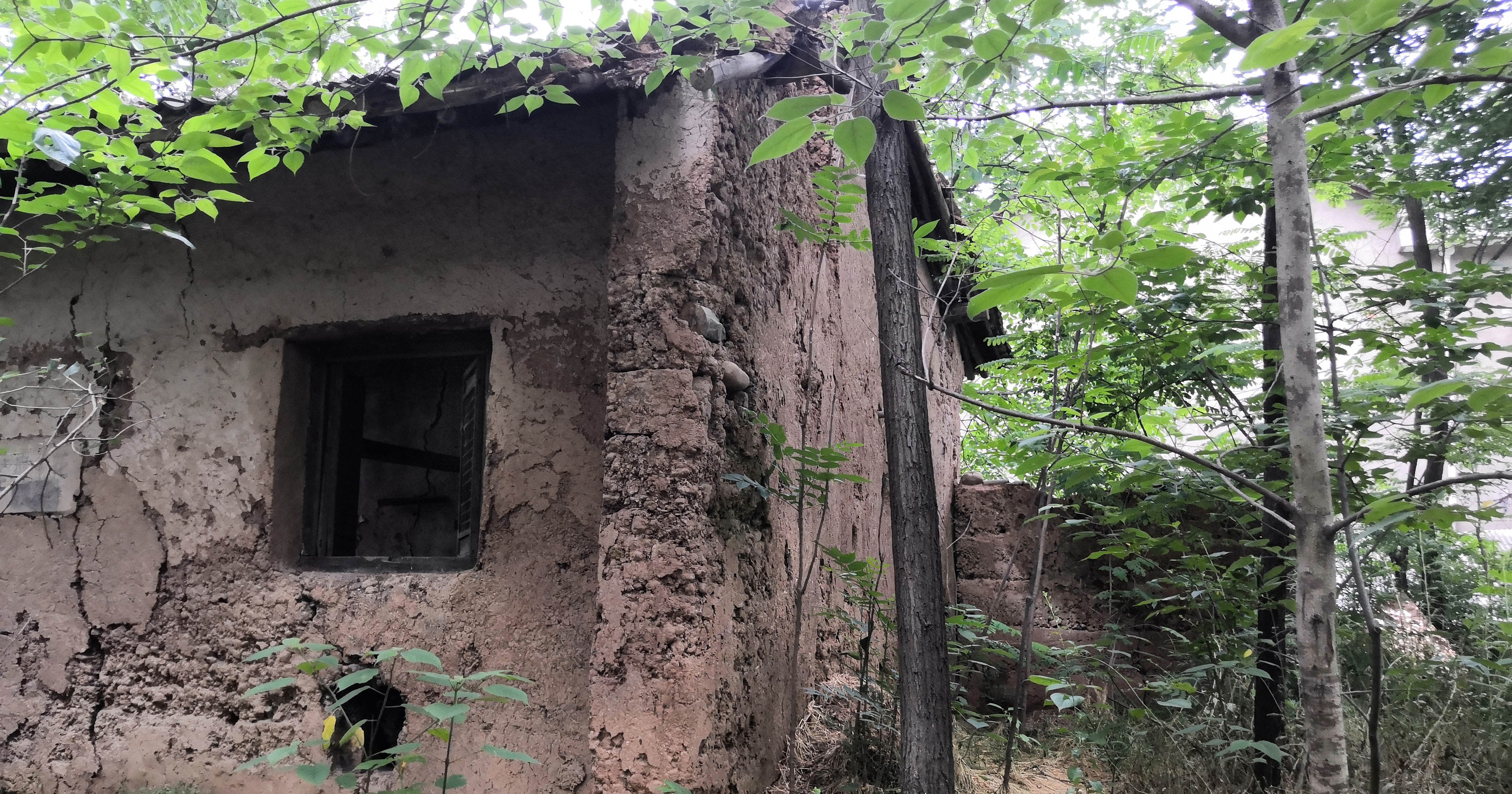 秦岭密林中发现个破宅子，可能有隐士在此住过，阴森森的能拍鬼片