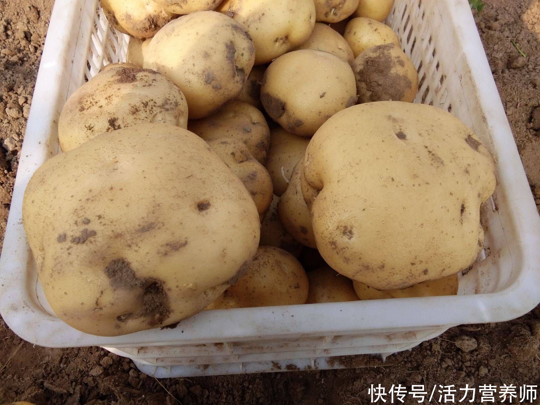 土豆|应该买黄心土豆还是白心土豆？特别是糖尿病患者不能选错，升糖快
