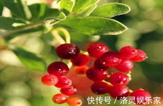 南瓜|女性想要皮肤好 ，推荐4种食物，排出毒素，补血益气，延缓衰老