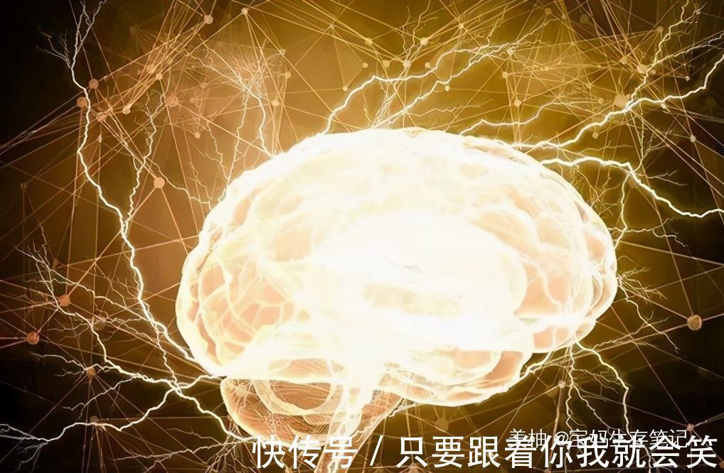 孩子|美国儿科学会:脑力超常的孩子通常有3个“坏毛病”,父母别干涉