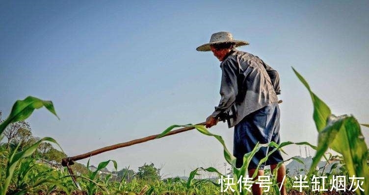 望敬亭山$史上最惊艳的五绝是哪10首?篇篇精彩,《望敬亭山》都望尘莫及