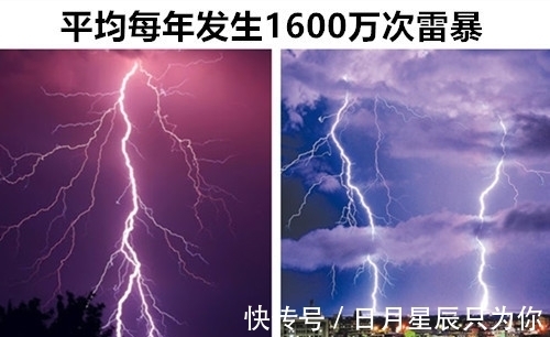 12个即便“满腹经纶”的学霸，也可能不知道的罕见冷知识