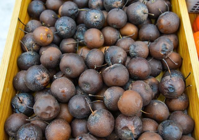 满地|东北就是个“天然大冰柜”,满地都是饺子,南方人表示:简直太豪