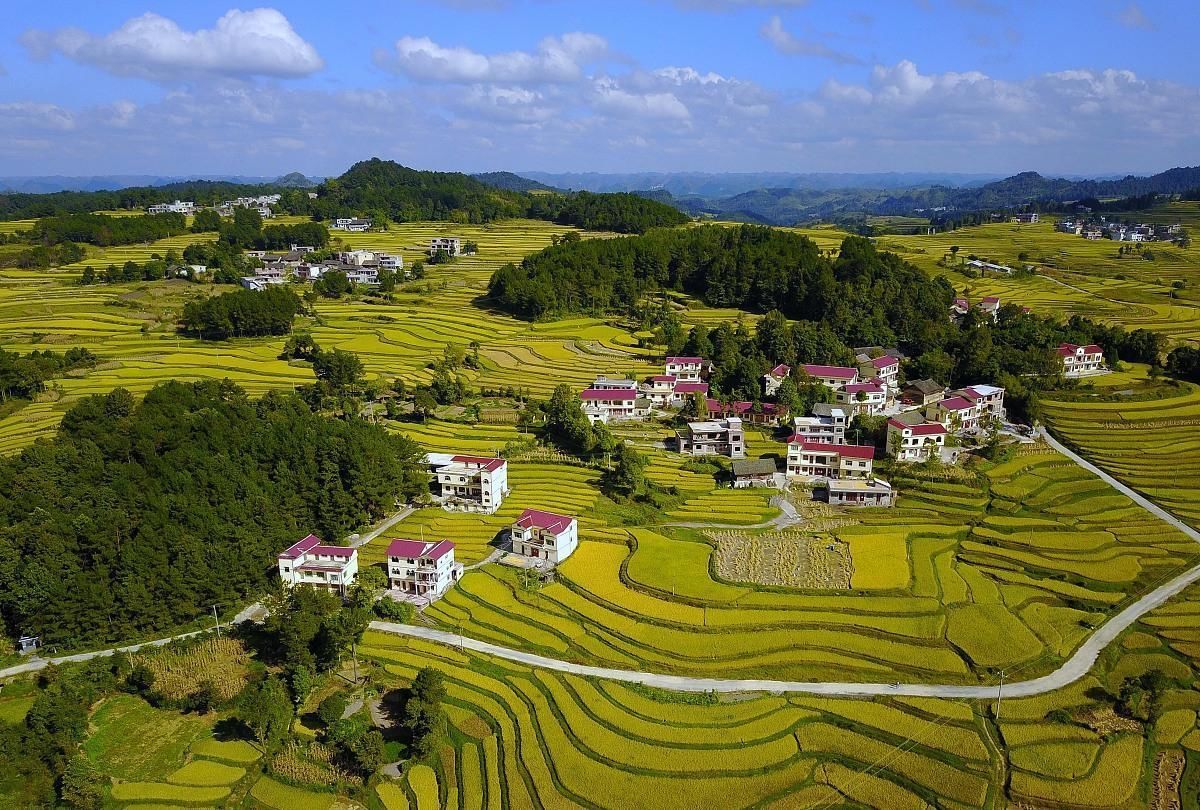 大米可不只是用来吃的,这么多妙用千万不要浪费,这下全懂了