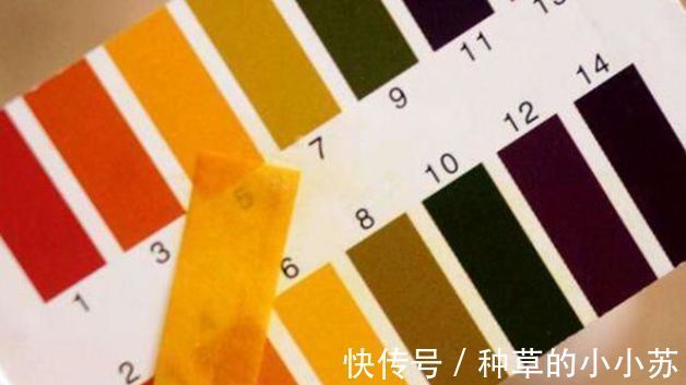 痘痘|油痘肌、干皮敏感皮的救星来啦!买这几款洗面奶准没错