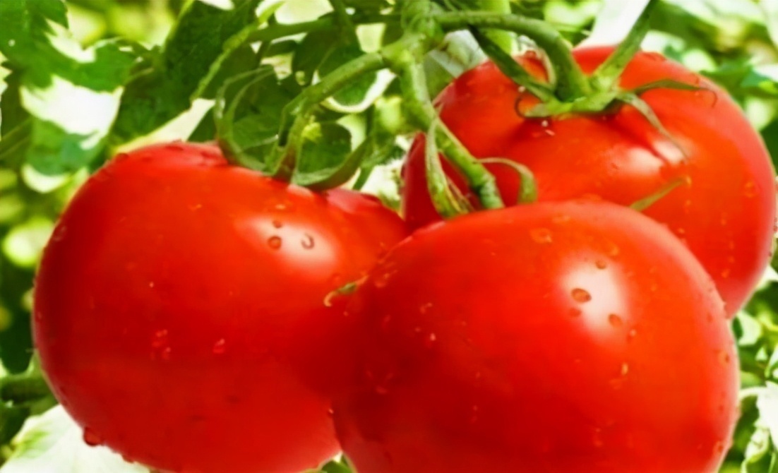 排毒养颜|多吃以下3种食物，补充营养预防疾病，排毒养颜身体棒