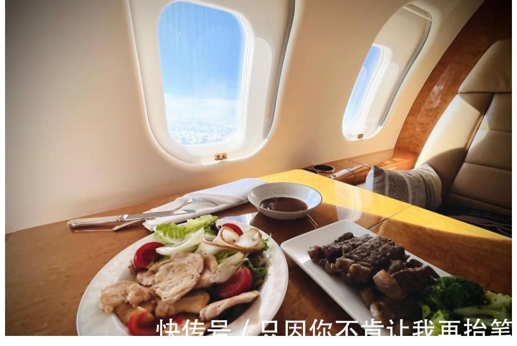 黄子韬高调晒私人飞机，在高空享受牛排大餐，宠物狗独享豪华座椅