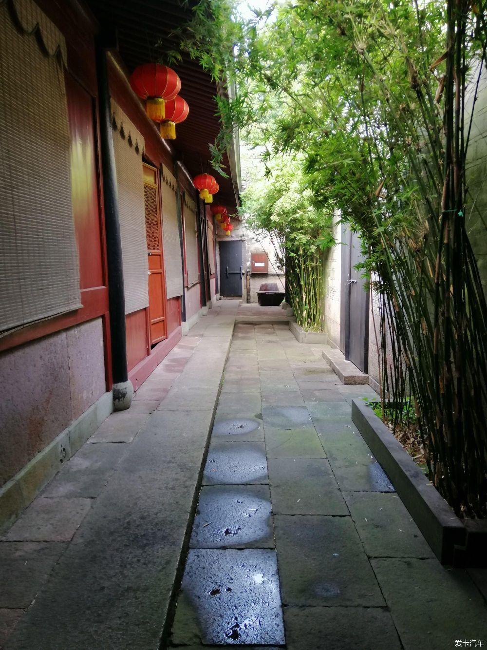 地标|晨游月湖园，误撞童槐家