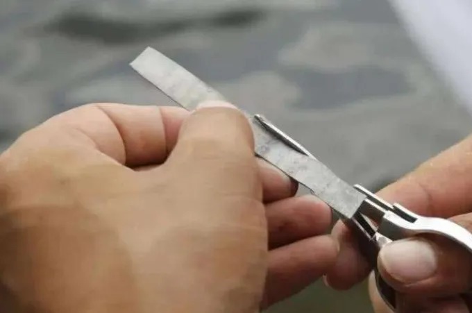 高手才不会说：鱼钩上只要加它，不管在哪钓，一根竿都忙不过来