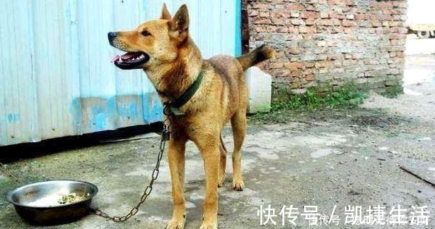 上联$经典对联! 上联 “原配夫妻脚挨脚”, 下联听了很伤感