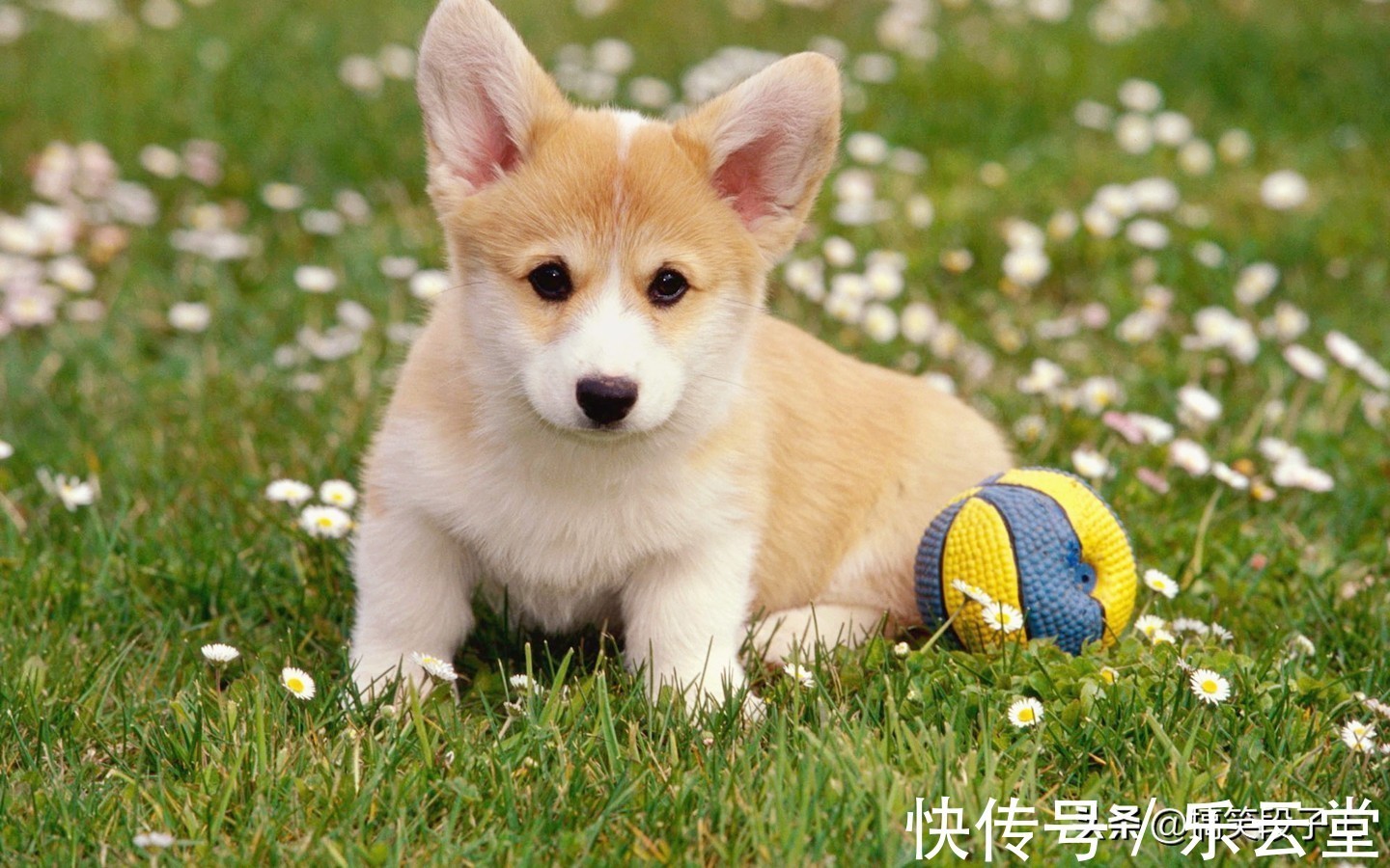 |幽默笑话:婚后第一天就和老婆吵架了,原因是我们都想管家里的钱