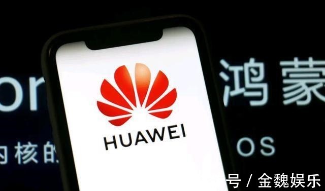 王成录|华为总裁捅破窗户纸,表面繁荣真的很可怕
