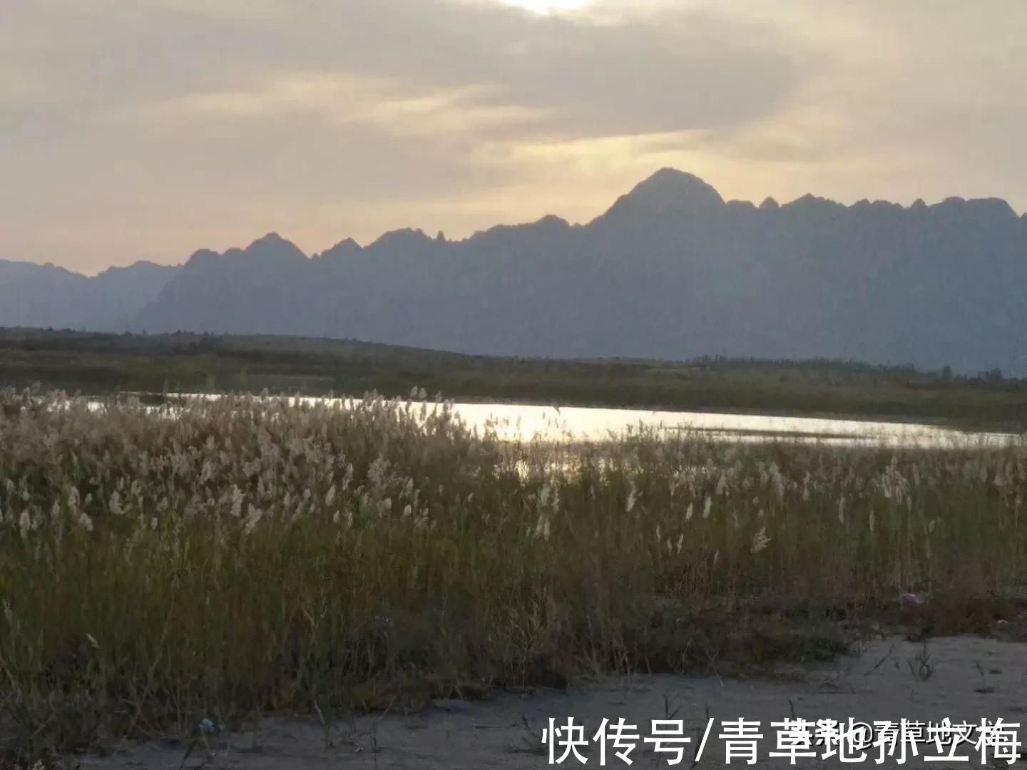 梭梭林@屠申泽，今日芦花又飞雪(组诗)