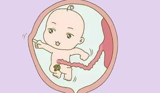 胎儿|孕妈别怨胎儿“不退房”，这都是孕妈自己的原因，网友：扎心了