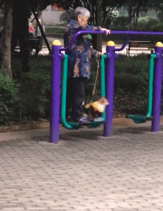 |搞笑GIF:奶奶遛狗一个月,狗狗瘦10斤,奶奶长10斤,原来如此