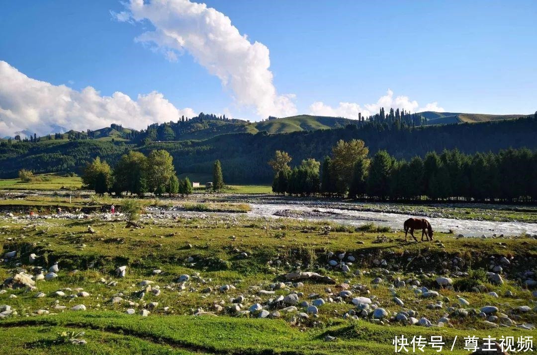 喝牛奶|广东女孩到新疆旅游，在天山下牧民村呆了半个月，每天喝牛奶吃馕