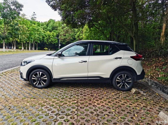 倒车影像|【助力夺冠2021】最佳拍档非你莫属，劲客与我共赏夏日花草