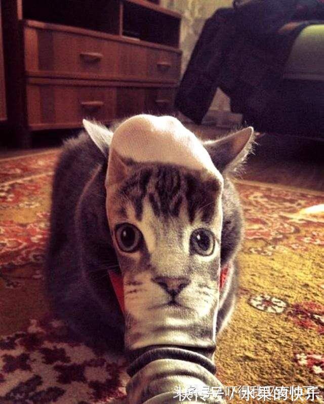 |开心一刻笑话:我公司女同事,长得白白嫩嫩,人高马大