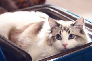 |幽默笑话:刚躺床上打算睡觉,老婆呼的下就坐了起来,吓我一跳