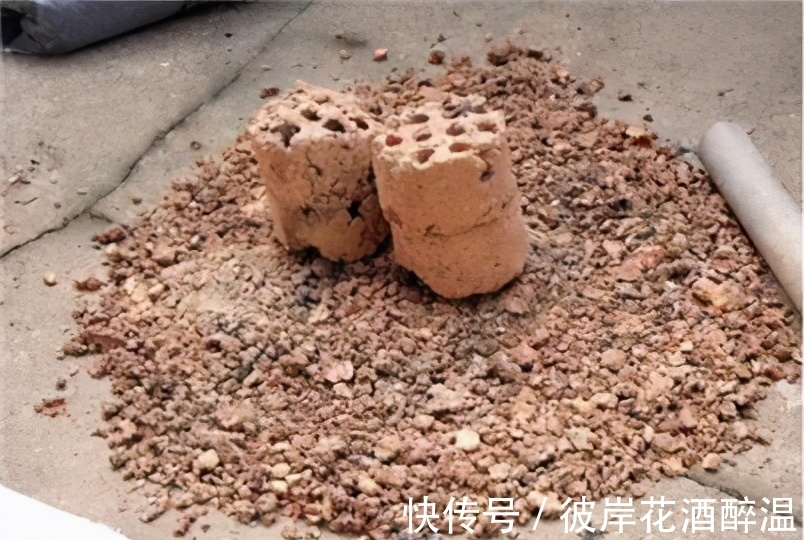 家里3样废渣,不要扔,在养花人眼里是宝贝