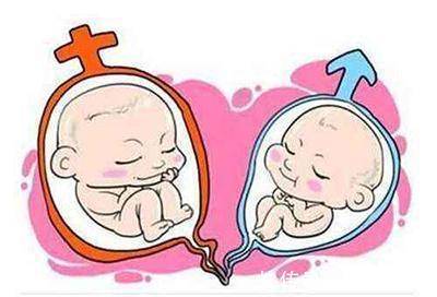 心率|什么是胎监