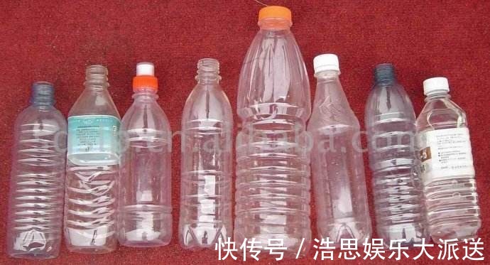 花盆|废弃塑料瓶原来还能干这事以前都扔了，悔的直跺脚！