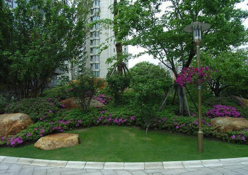 楼层|买房时就剩2楼、13楼、14楼、18楼和顶楼,该如何选呢?