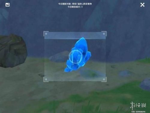 蒲公英 原神蓝色照片在哪里拍？蓝色照片采集物生物分布位置一览