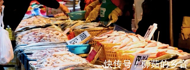 深海|世界上最有“骨气”的鱼，被捉到立马自爆，没人能将它活着带回去！