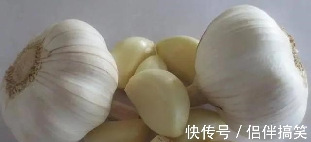 麝香|被吹上天4种钓鱼饵料，我已经替你们试过，以后别再被骗了