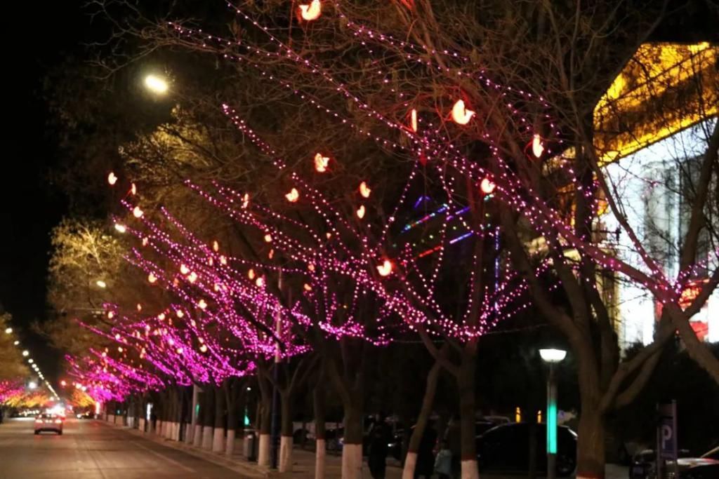 老年|金塔：火树银花不夜天，流光溢彩迎新年~