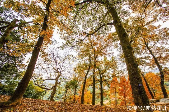 在生活中积累写作素材，让写作充满画面感、真实感